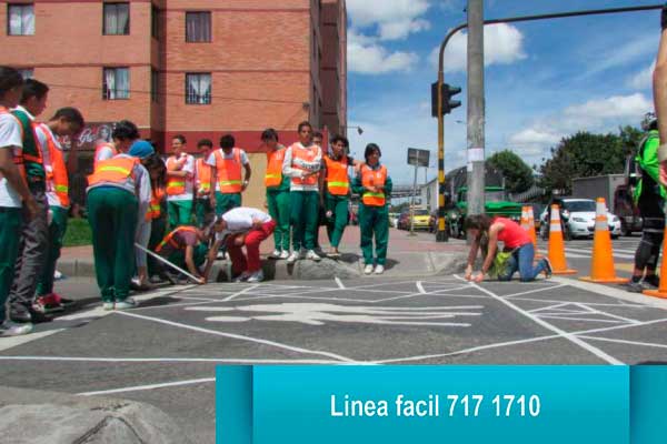 Servicio de inspección Teusaquillo